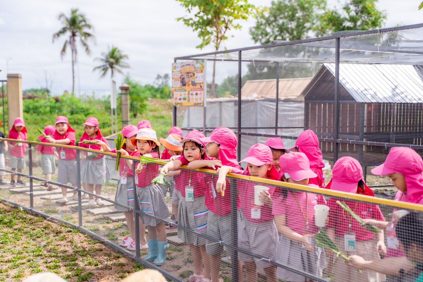 Các bạn nhỏ cho cư dân Ngôi Làng Ríu Rít ăn rau